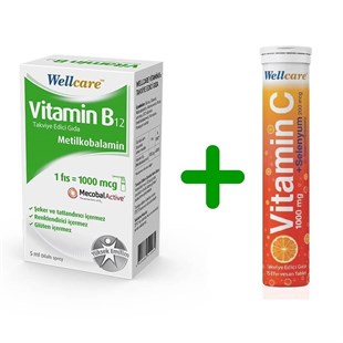 Wellcare Vitamin B12 TEG + C Selenyum Kofre